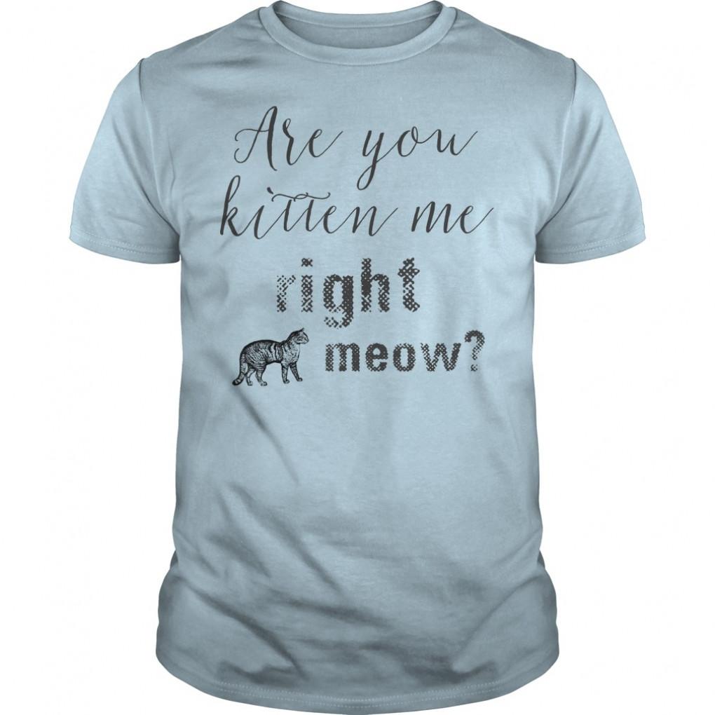 Are you kitten me right meow_1298324_1_white shirts Guys Tee 902976837