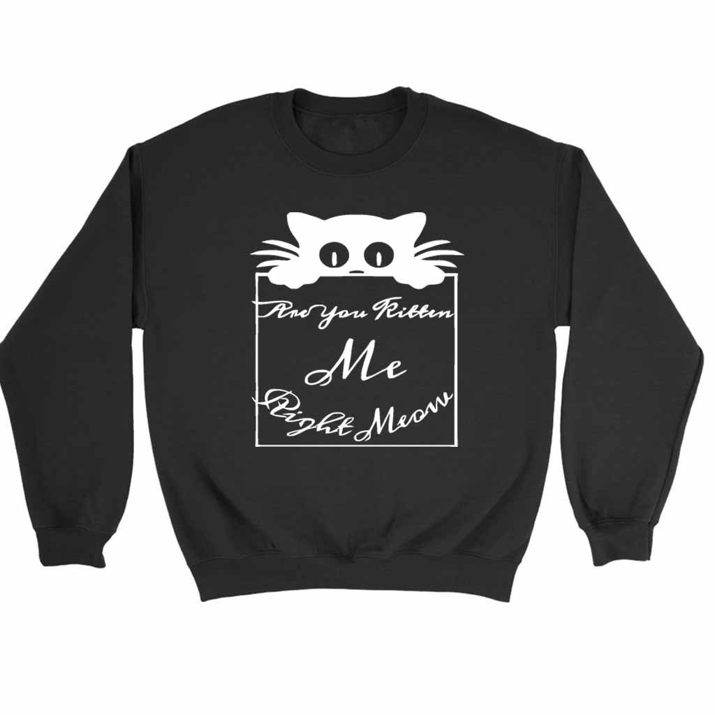 Are You Kitten Me Right Meow Lee Sweatshirt Sweater