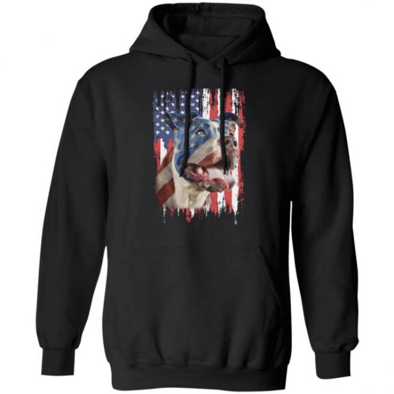 4th July Independence Day Pitbull American Flag Hoodie