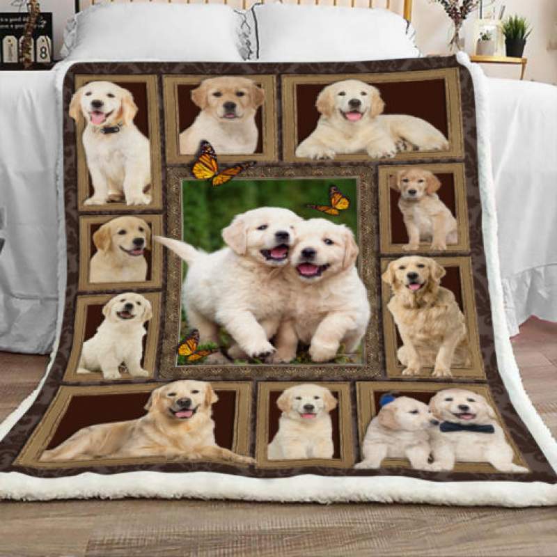 Golden Retriever Dog Sherpa Blanket JR3001 73O57