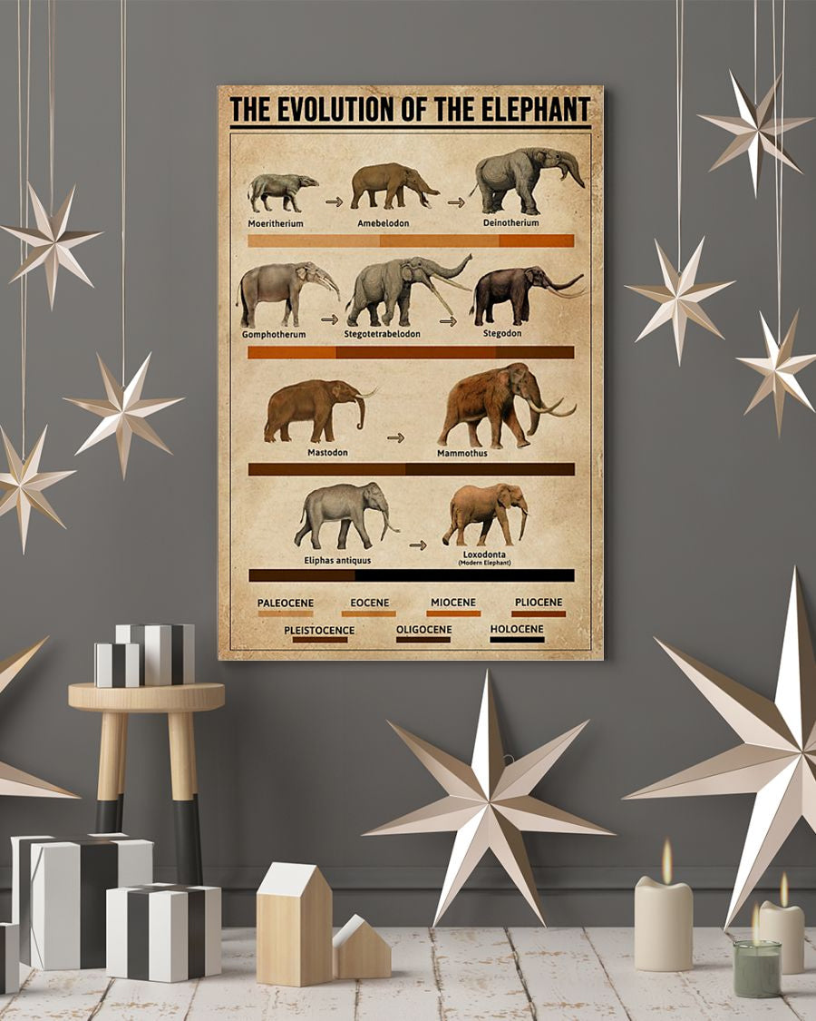 The Evolution Of The Elephant Knowledge Poster