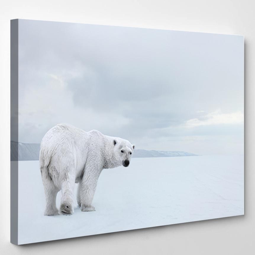 Polar Bear On Pack Ice – Bear Animals Canvas Print