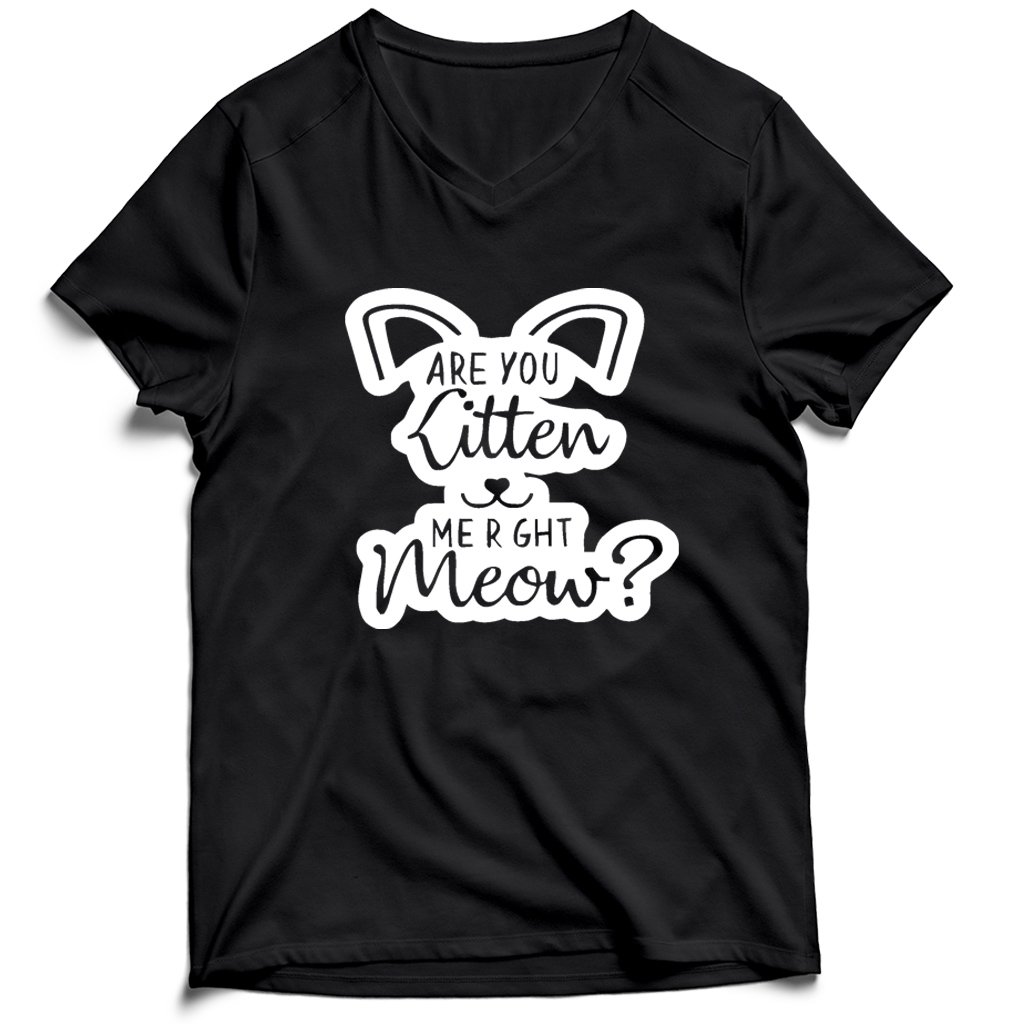 Are You Kitten Me Right Meow Go Men’s V-Neck Tee T-Shirt