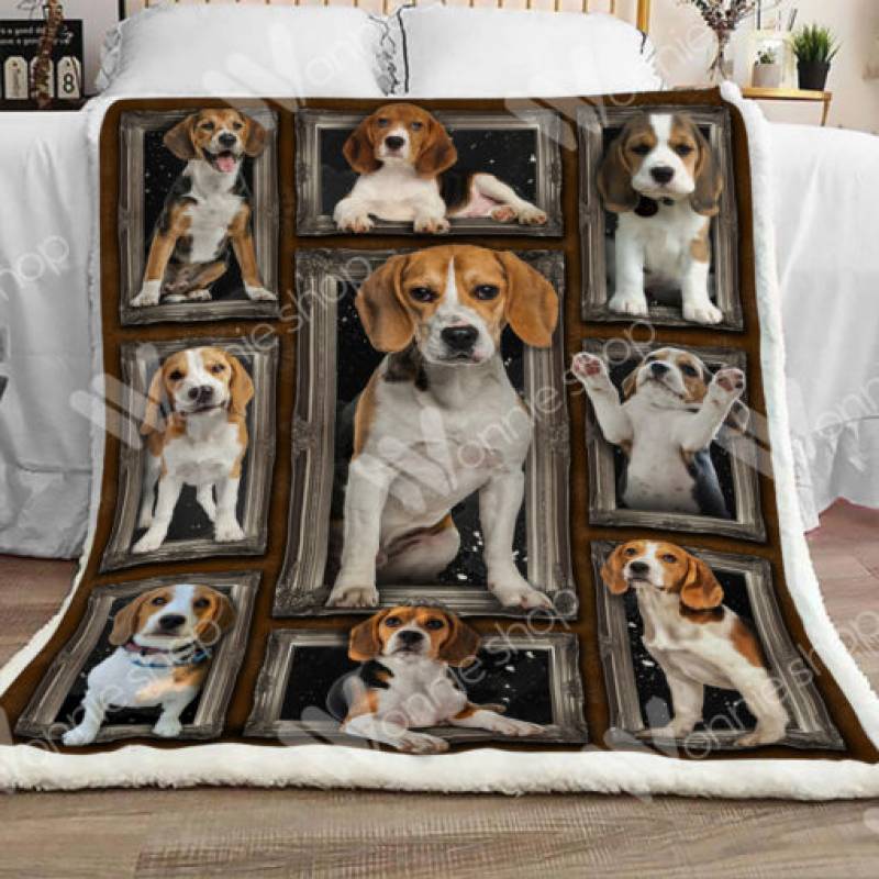 Beagle Dog Sherpa Blanket DCB1601 81O60