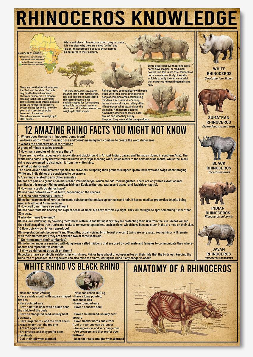 Rhinoceros Amazing Fact Animal Knowledge Wall Art For Homeschool Nusery Kids Bedroom Decor Poster