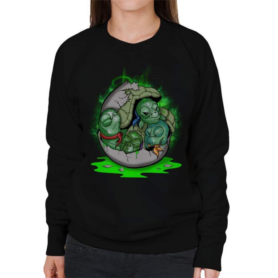 We Were Meant To Live Teenage Mutant Ninja Turtles Women’s Sweatshirt