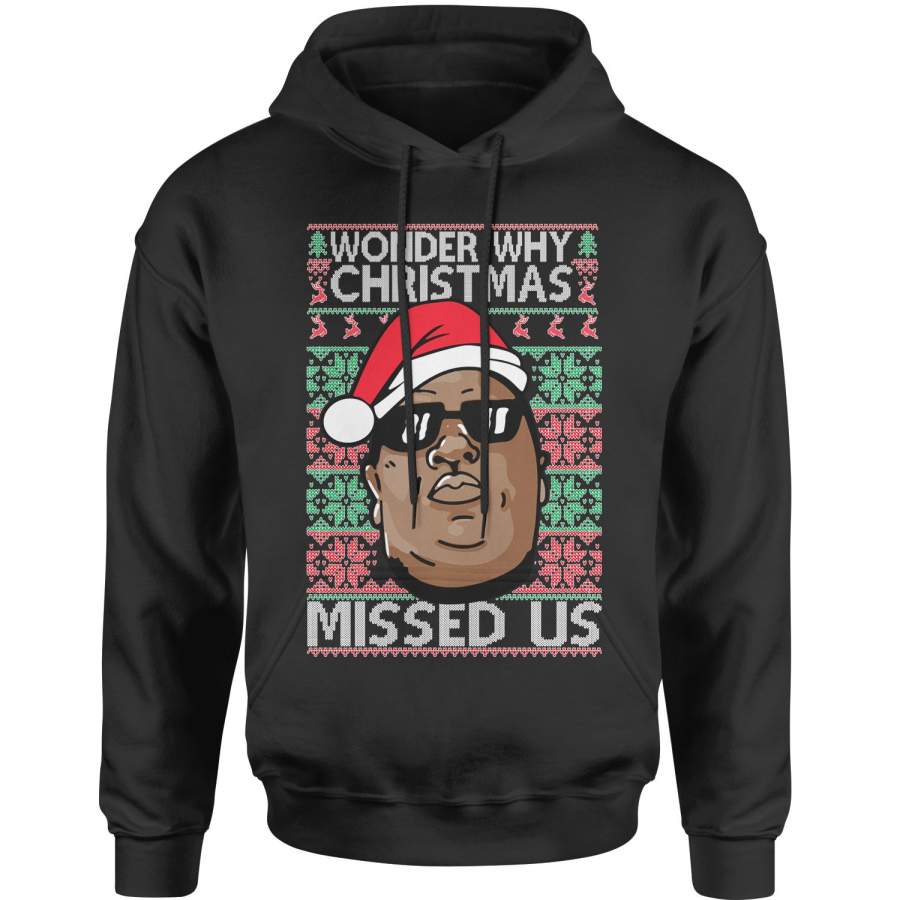 Wonder Why Christmas Missed Us Ugly Christmas Adult Hoodie Sweatshirt