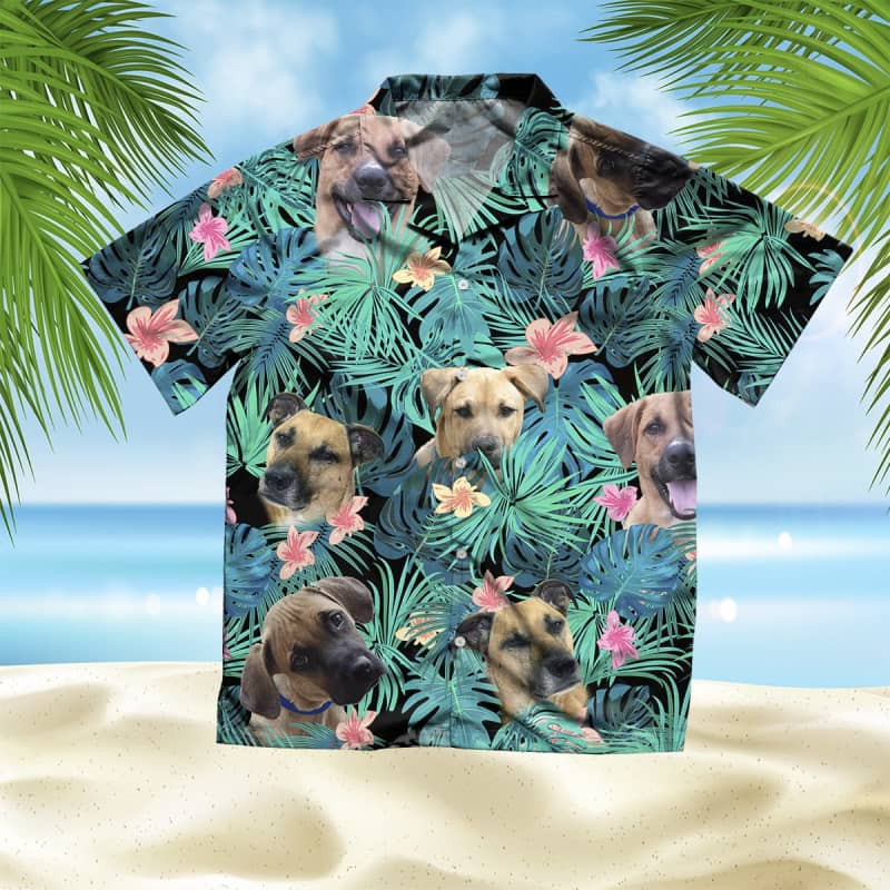 Felacia Blackmouth Cur Summer Leaves Hawaii Shirt Ha17971