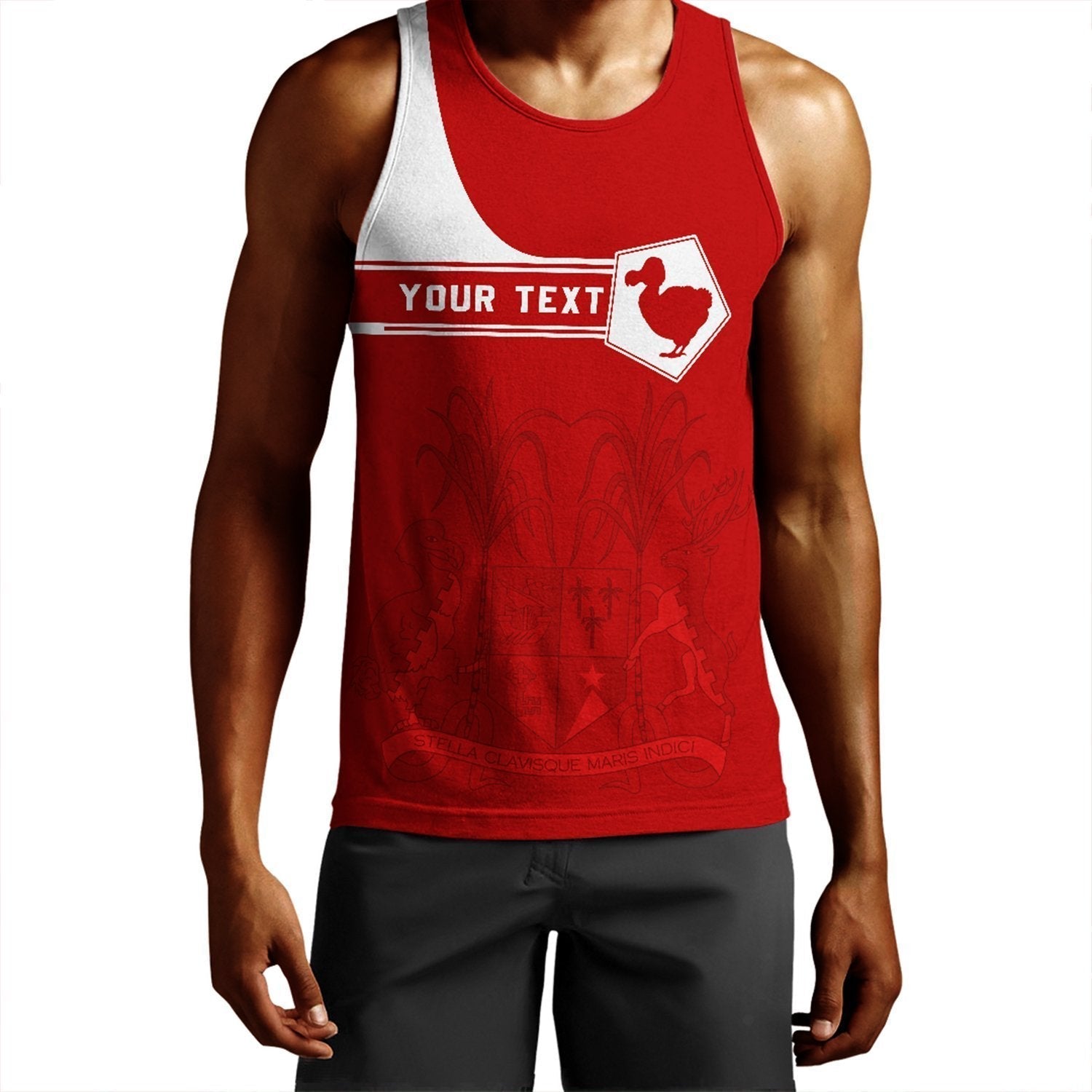 (Custom) African Tank Top – Mauritius Men’S Tank Top Pentagon Style