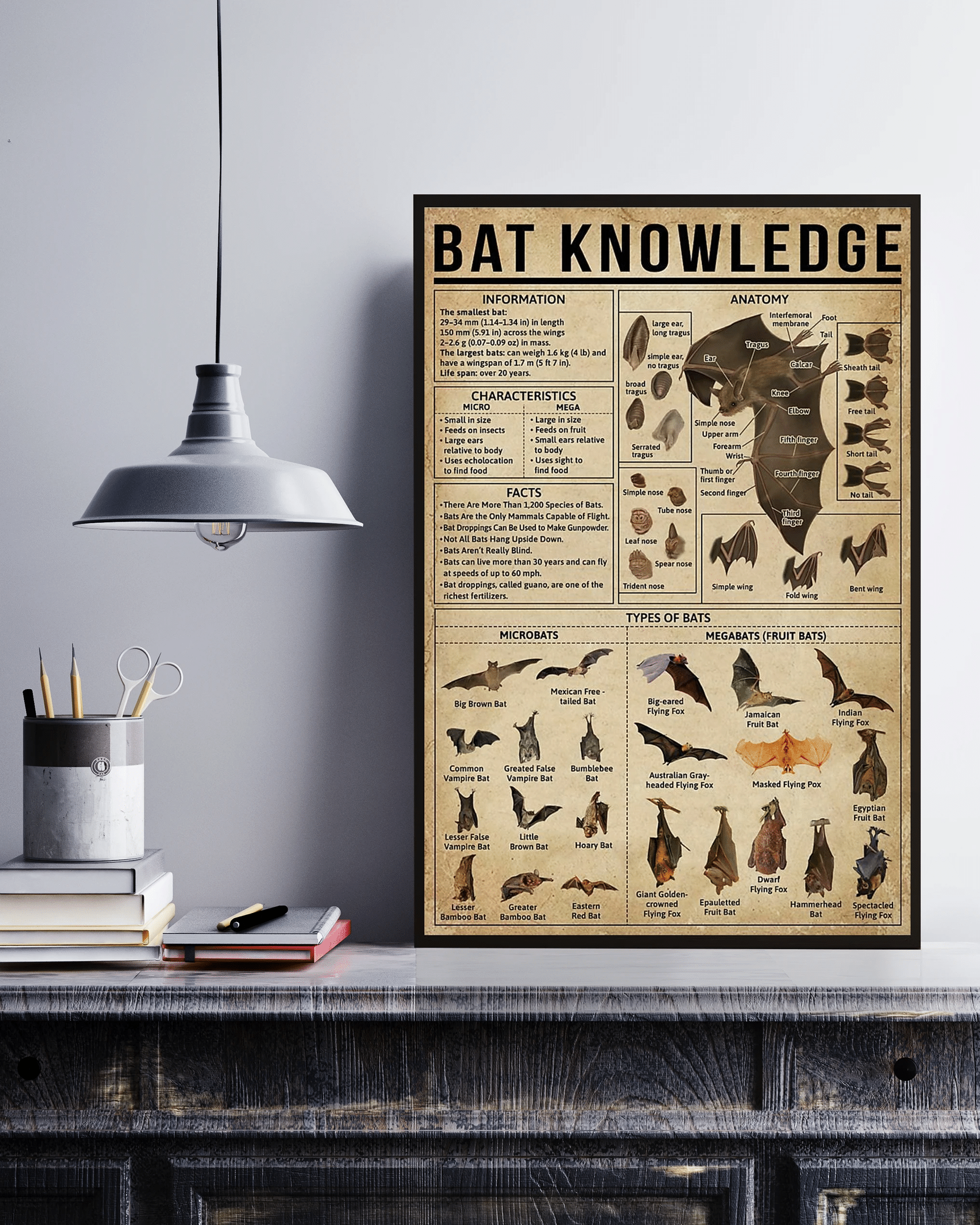 Bat Knowledge Canvas Poster Wall Art