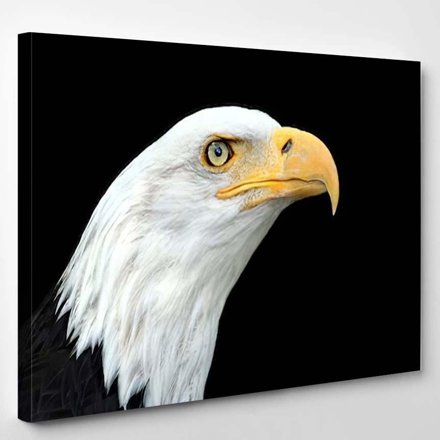 American Bald Eagle Portrait 1 – Eagle Animals Canvas Print