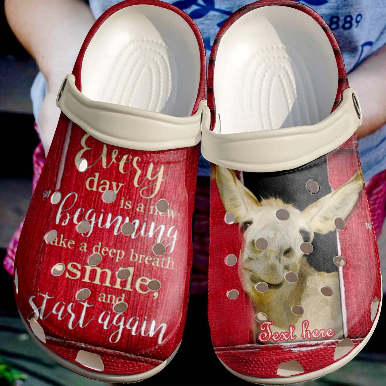 Donkey Personalized Clog, Custom Name, Text, Color, Number Fashion Style For Women, Men, Kid, Print 3D Everyday Is A New Beginning