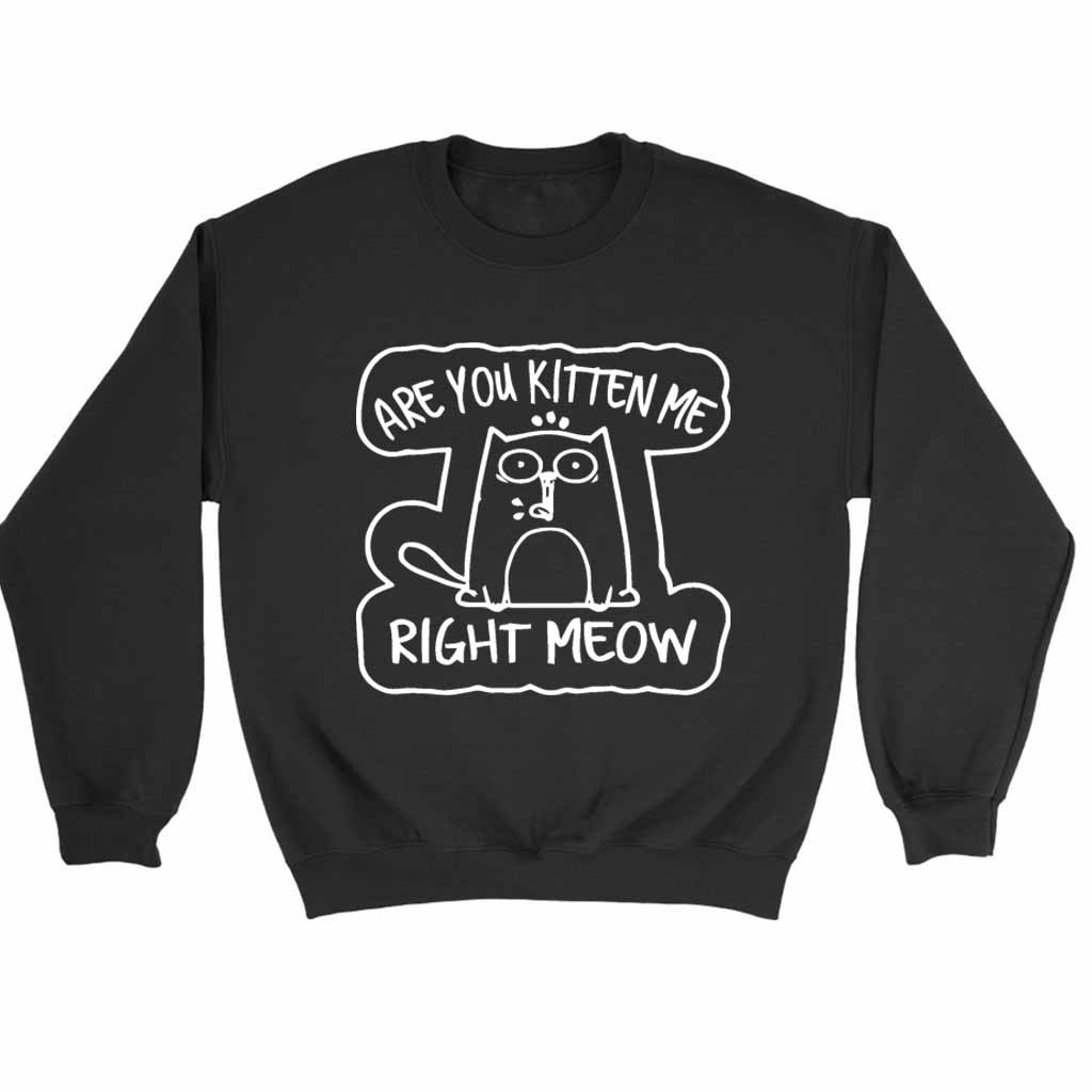 Are You Kitten Me Right Meow Vintage Range Sweatshirt Sweater