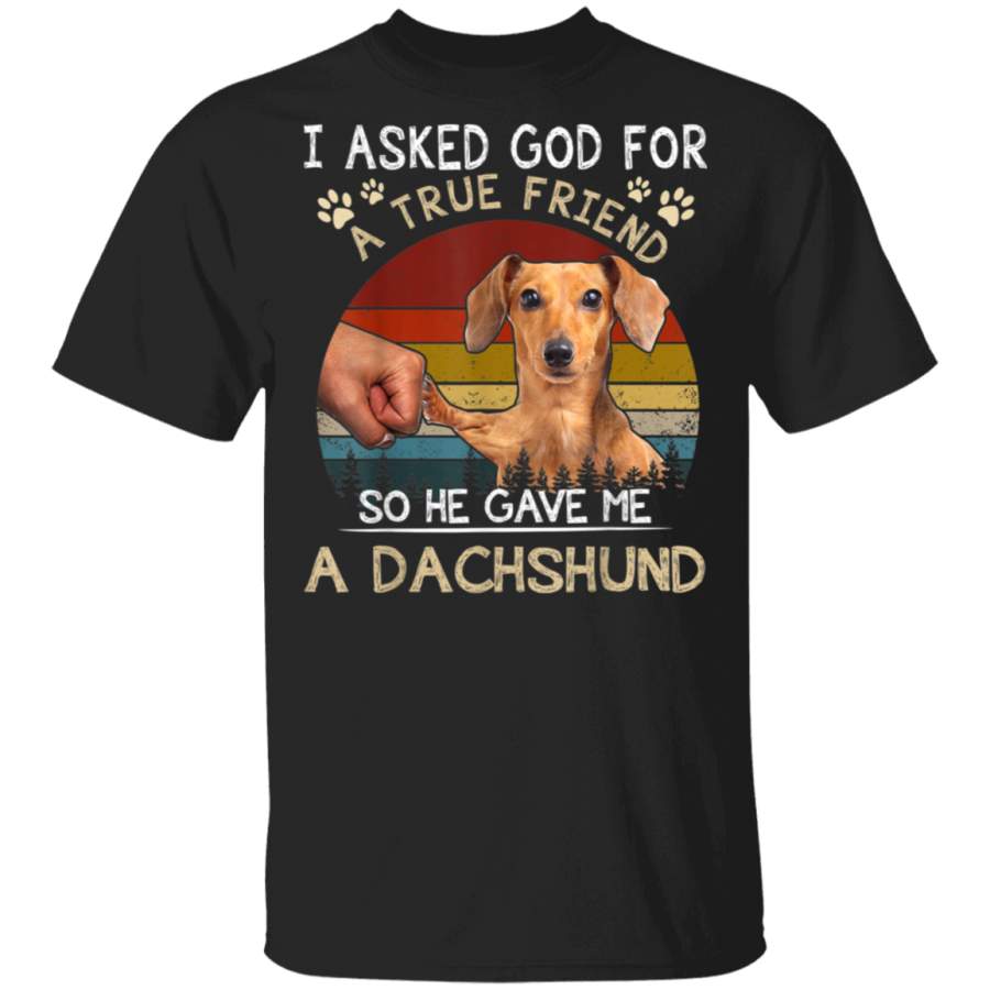 I Asked God For A Friend He Gave Me A Dachshund Retro TShirt