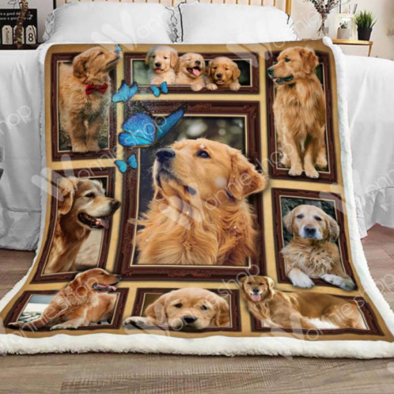 Golden Retriever Dog Sherpa Blanket DCB1201 85O34