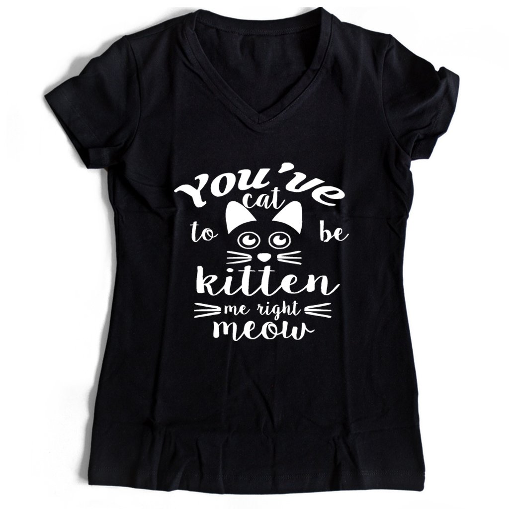 Are You Kitten Me Right Meow Meow Women’s V-Neck Tee T-Shirt