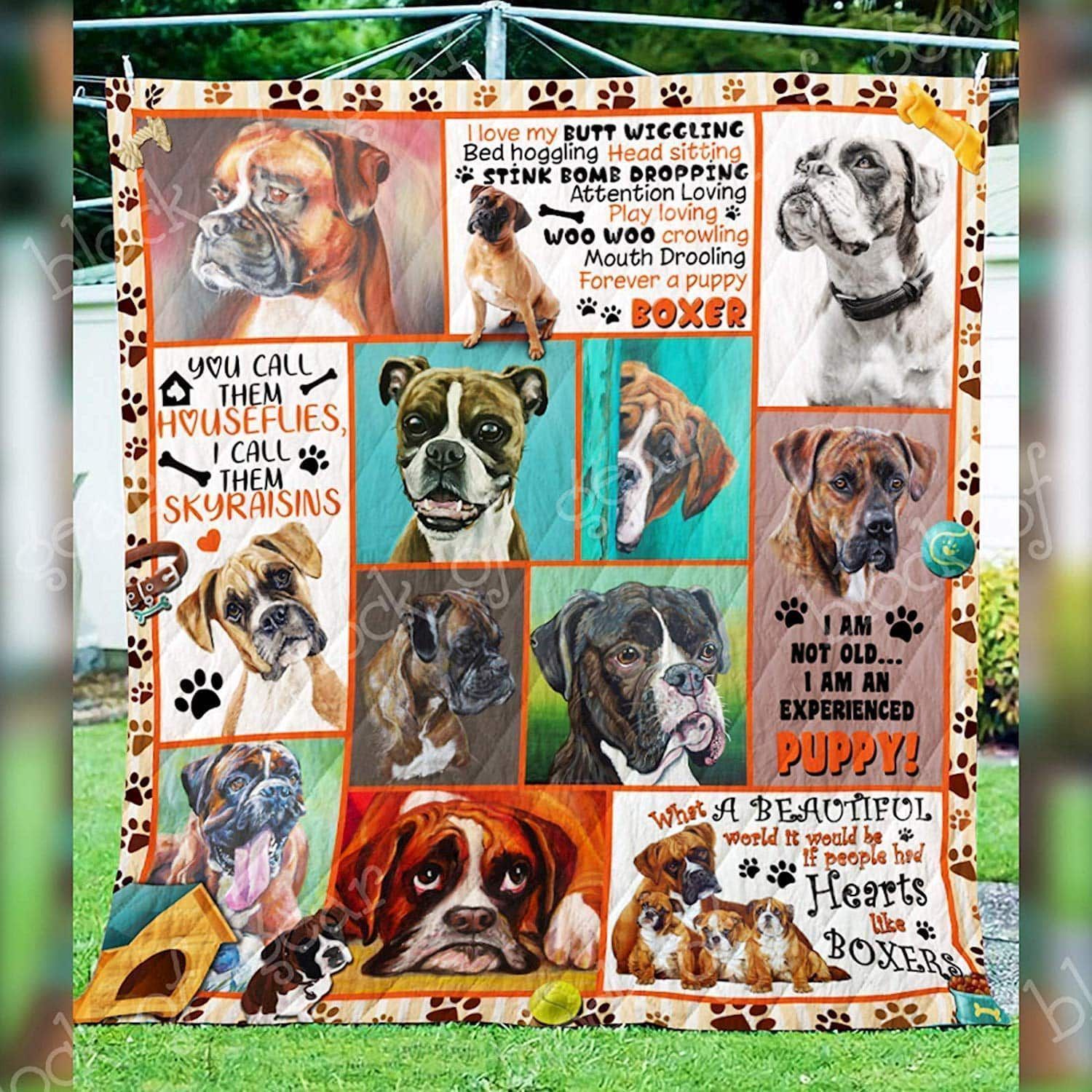 Boxer I Am Not Old I am experienxed puppy Beautiful dogs Quilt Blanket