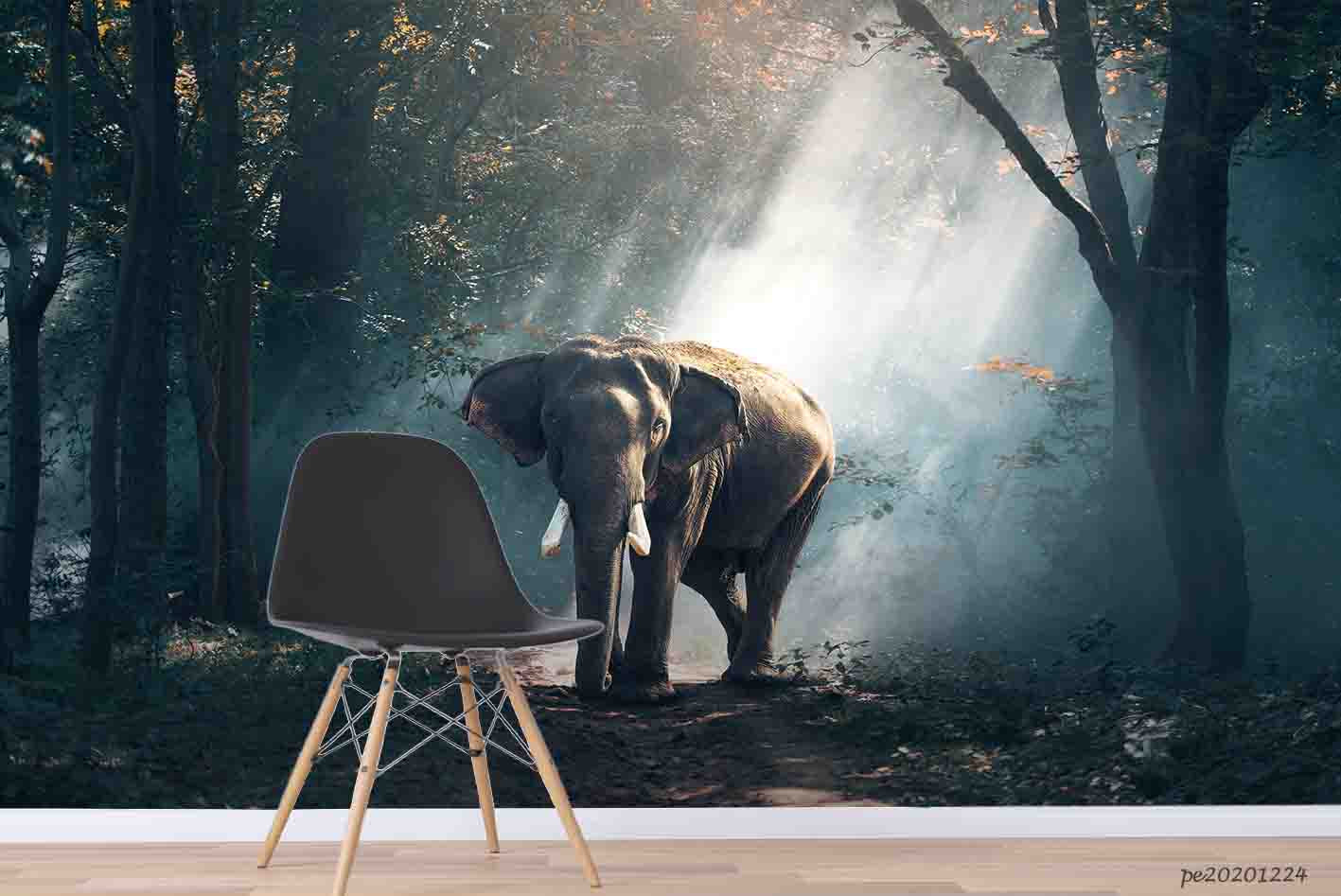 3D Foggy Forest Elephant Wall Mural Wallpaper Lqh 696