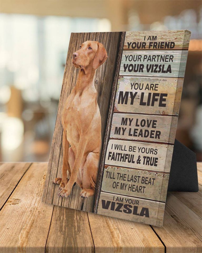 The dog vizsla my life faithful and true animals  Home Living Room Wall Decor Vertical Poster Canvas G95