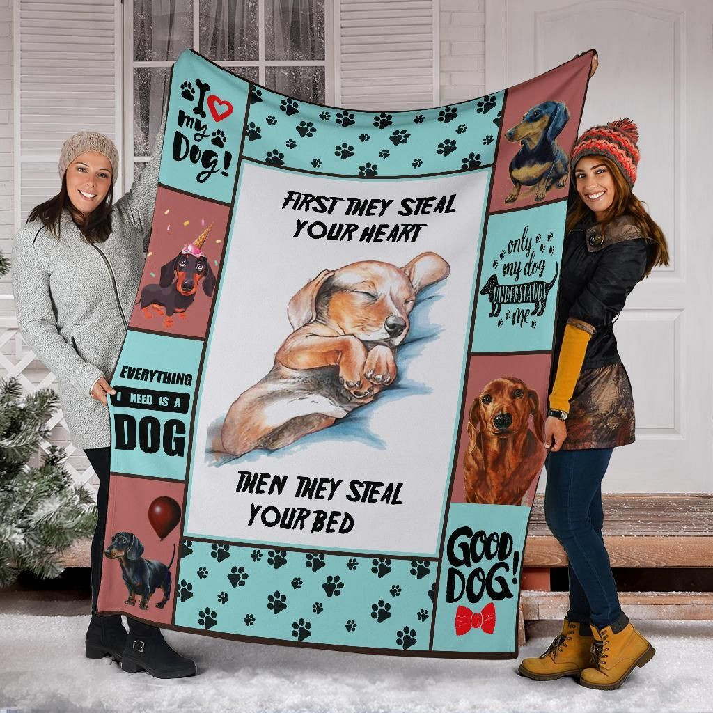 Dogs Blanket Then They Steal Your Bed, Christmas Gift, Dog Lover Blanket