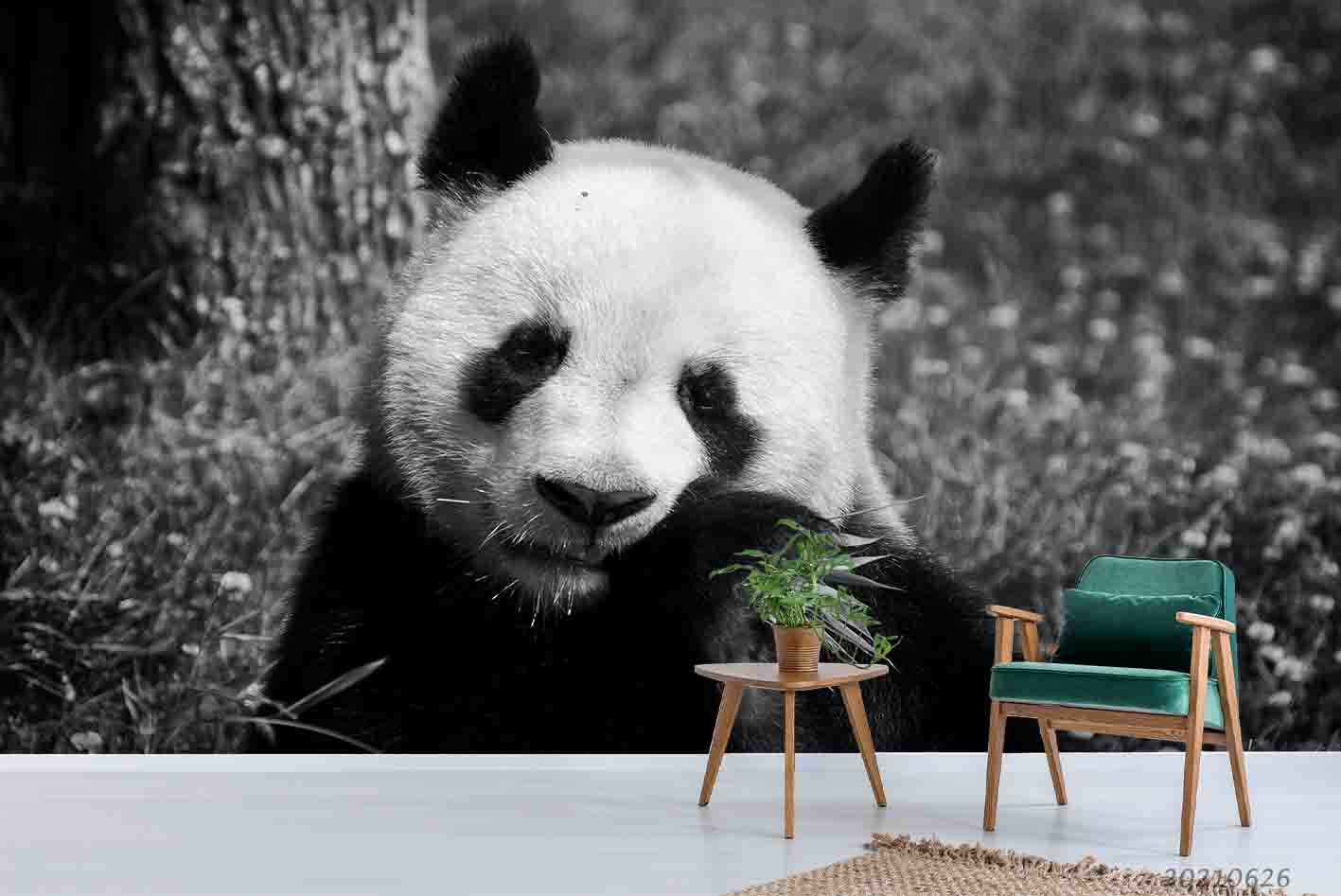 3D Forest Animal Panda Wall Mural Wallpaper Lqh 85