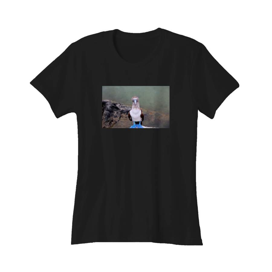 Placeholder