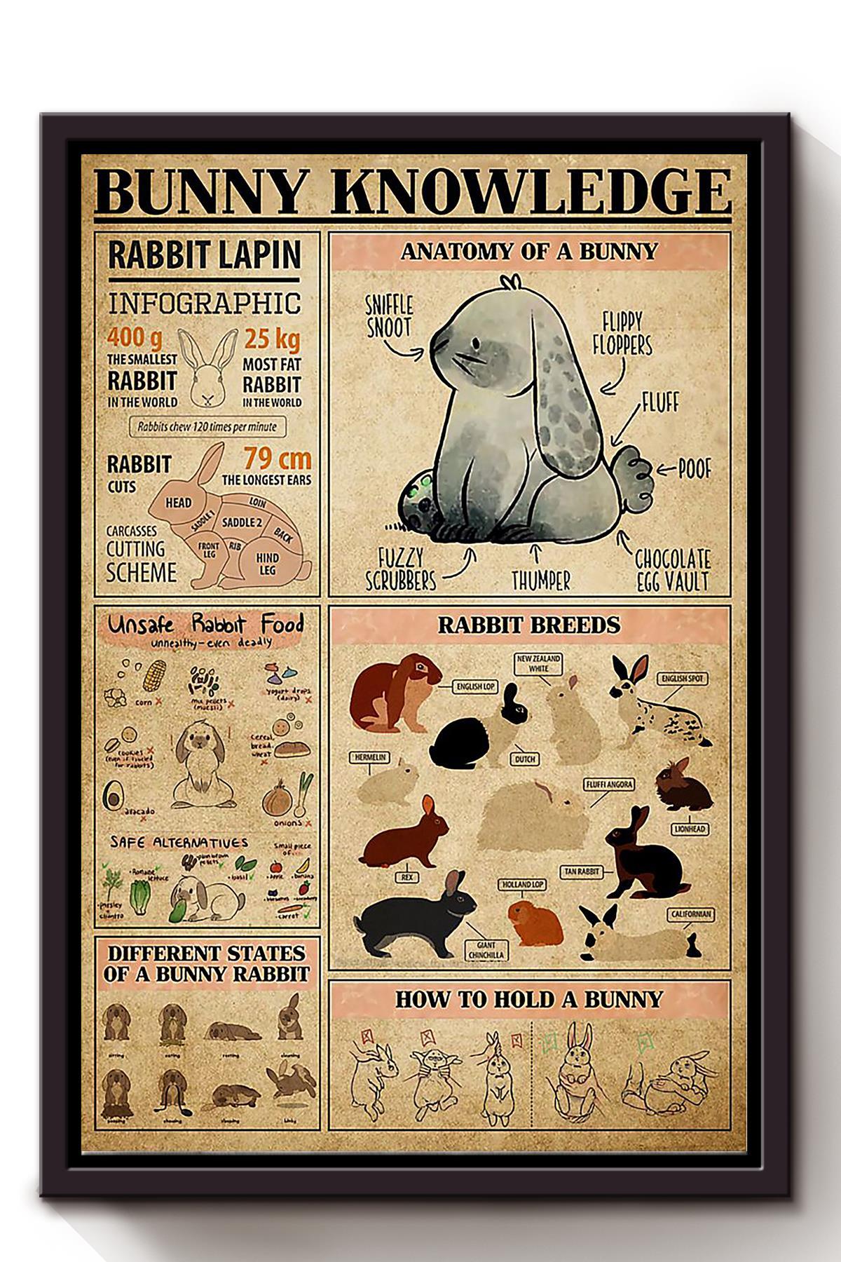 Bunny Cute Facts Animal Knowledge Wall Art For Homeschool Nusery Kids Bedroom Decor Framed Canvas