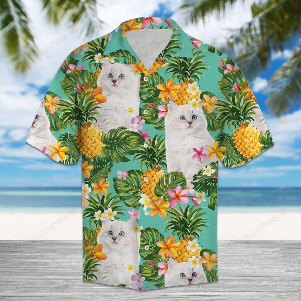 Tropical Pineapple Ragdoll Kittens – Hawaii Shirt