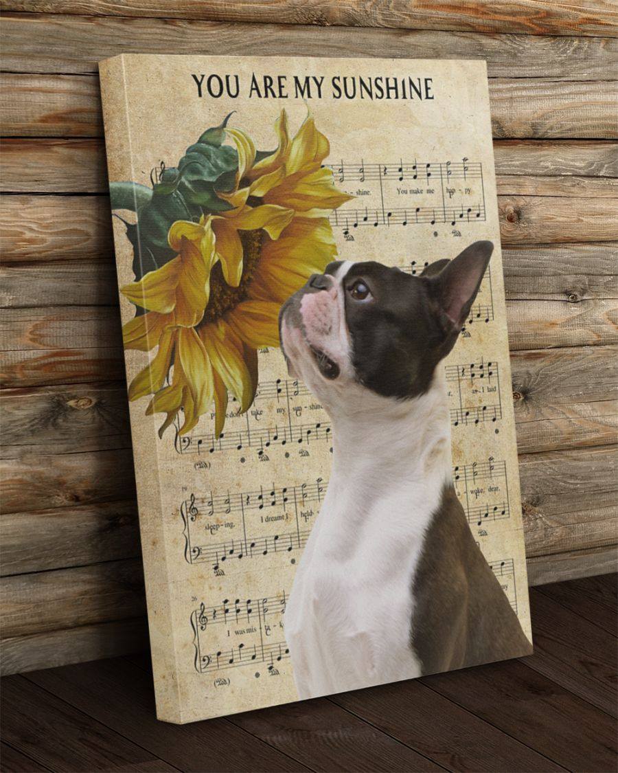 Boston Terrier You Are My Sunshine Canvas Gift for Friend Birthday Gift Warm Home Decor Wall Art Visual Art