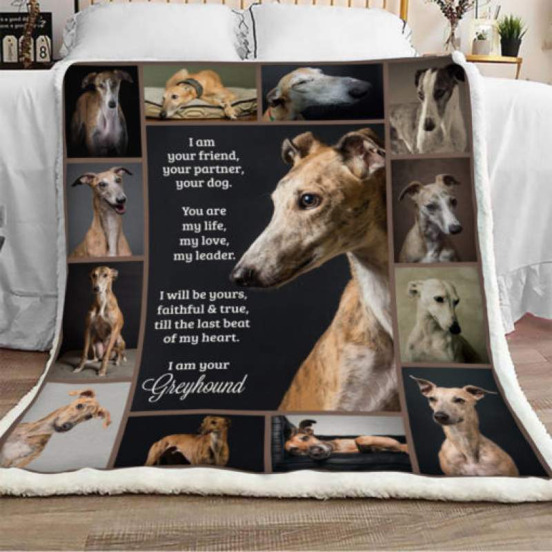 Greyhound Dog Sherpa Blanket JR1801 90O35