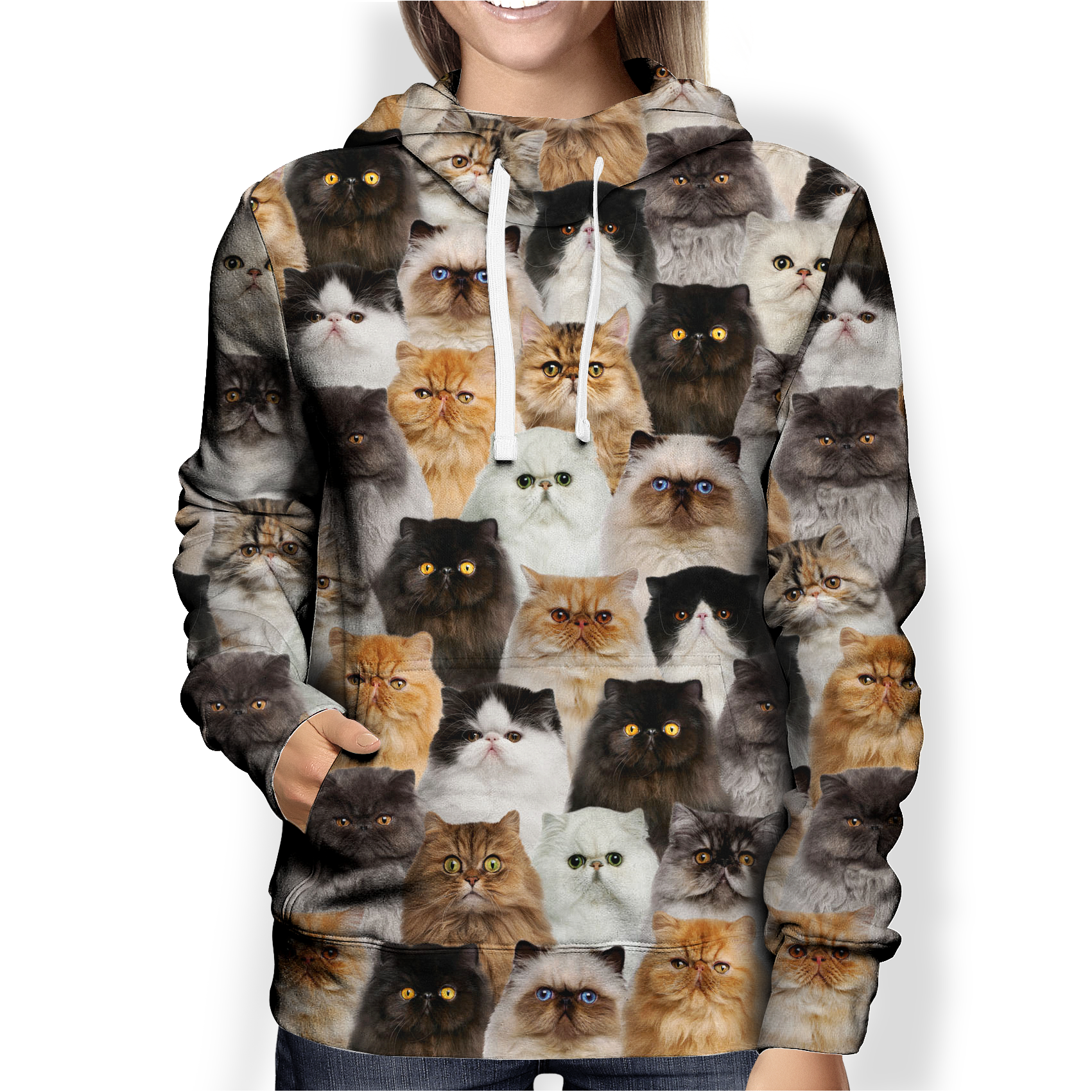 You Will Have A Bunch Of Persian Cats – Hoodie V1