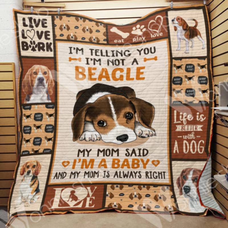 Beagle Dog Blanket NOV2102 79O39