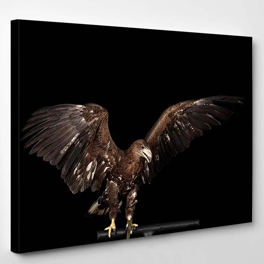 Whitetailed Eagle Sitting On Perch Spread – Eagle Animals Canvas Print