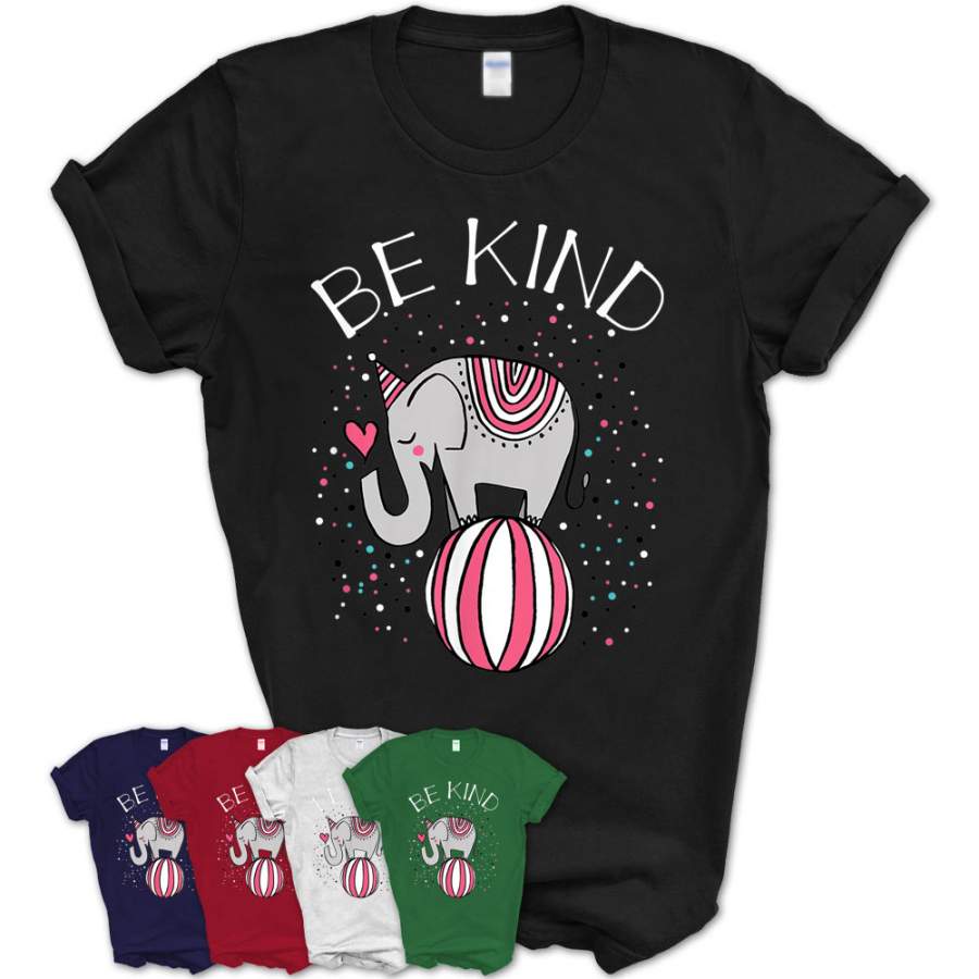 Be Kind Circus Elephant Gift Shirt For Kids Girls Youth T-Shirt