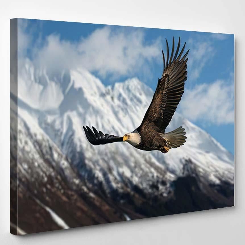 American Bald Eagle Flight Illustrated Over 2 – Eagle Animals Canvas Print