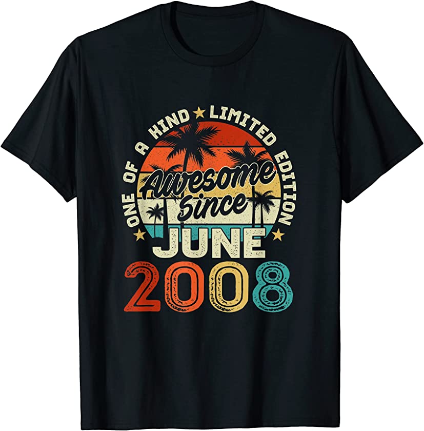 13th Birthday Vintage June 2008 13 Years Old Boys Girls T-Shirt