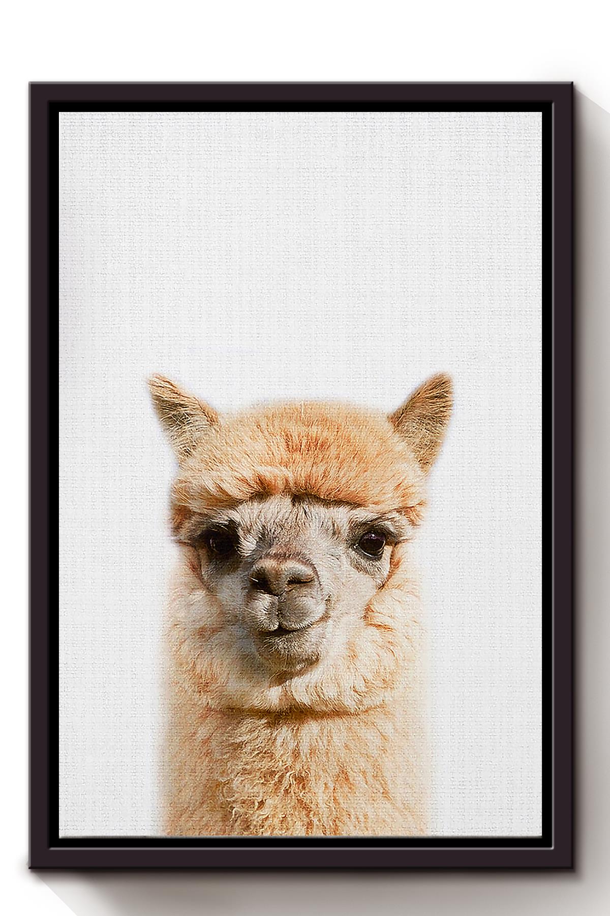 Alpaca Animal Wall Art For Alpaca Lover Kid Room Decor Framed Matte Canvas