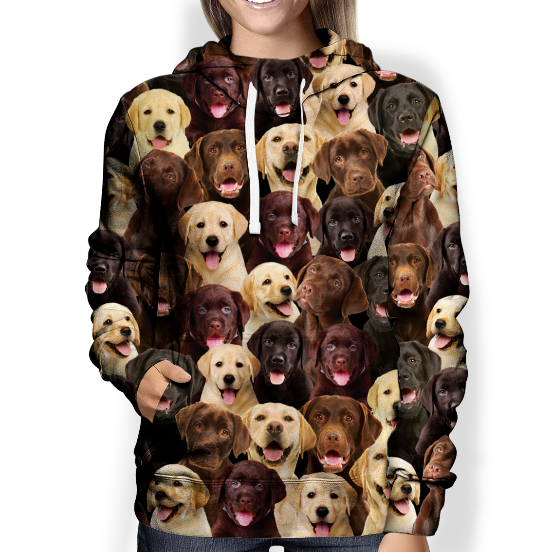 You Will Have A Bunch Of Labradors – Hoodie V1