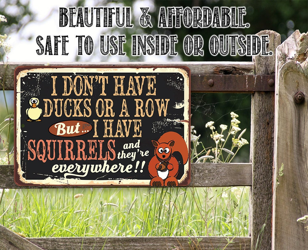 I Don’t Have Ducks or a Row But I Have Squirrels – 8″ x 12″ or 12″ x 18″ Aluminum Tin Awesome Metal Poster