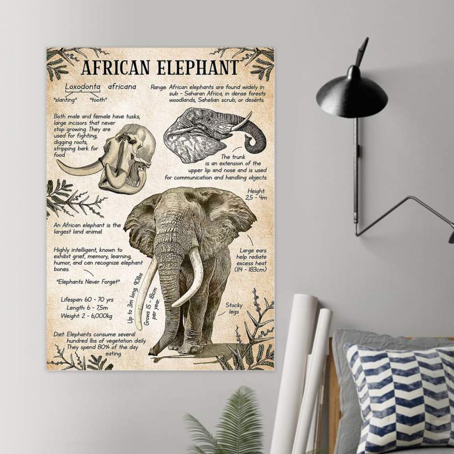 African Elephant Unique Custom Design Canvas Animal Present