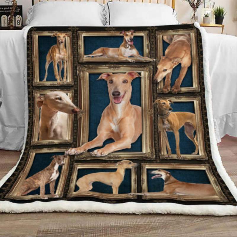 Greyhound Dog Sherpa Blanket JR1803 68O49