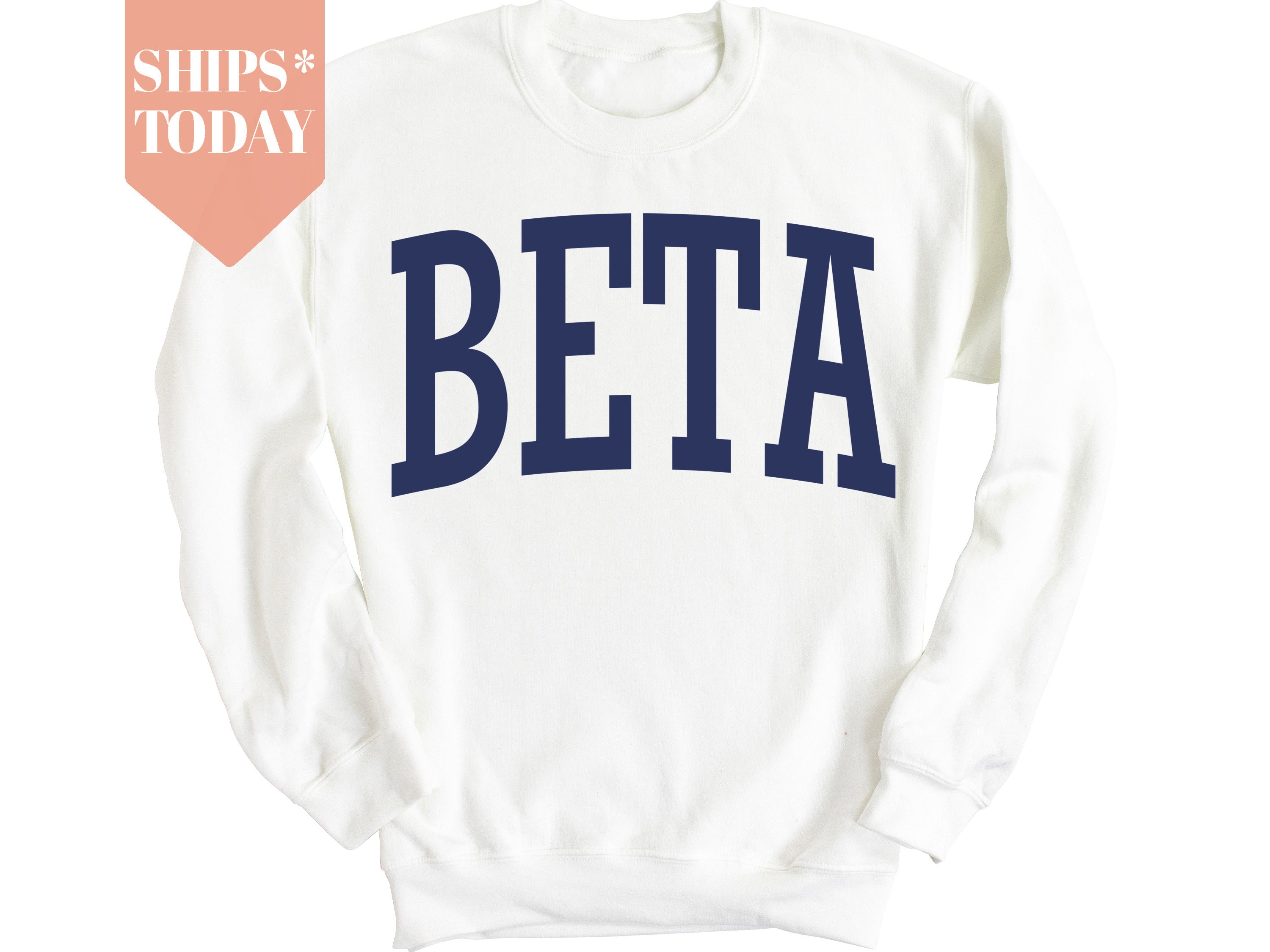 Beta Theta Pi Intrinsic Lettered Fraternity Sweatshirt | Beta Crewneck | Men Crewneck | Fraternity Apparel | Rush Sweatshirt _ 881g