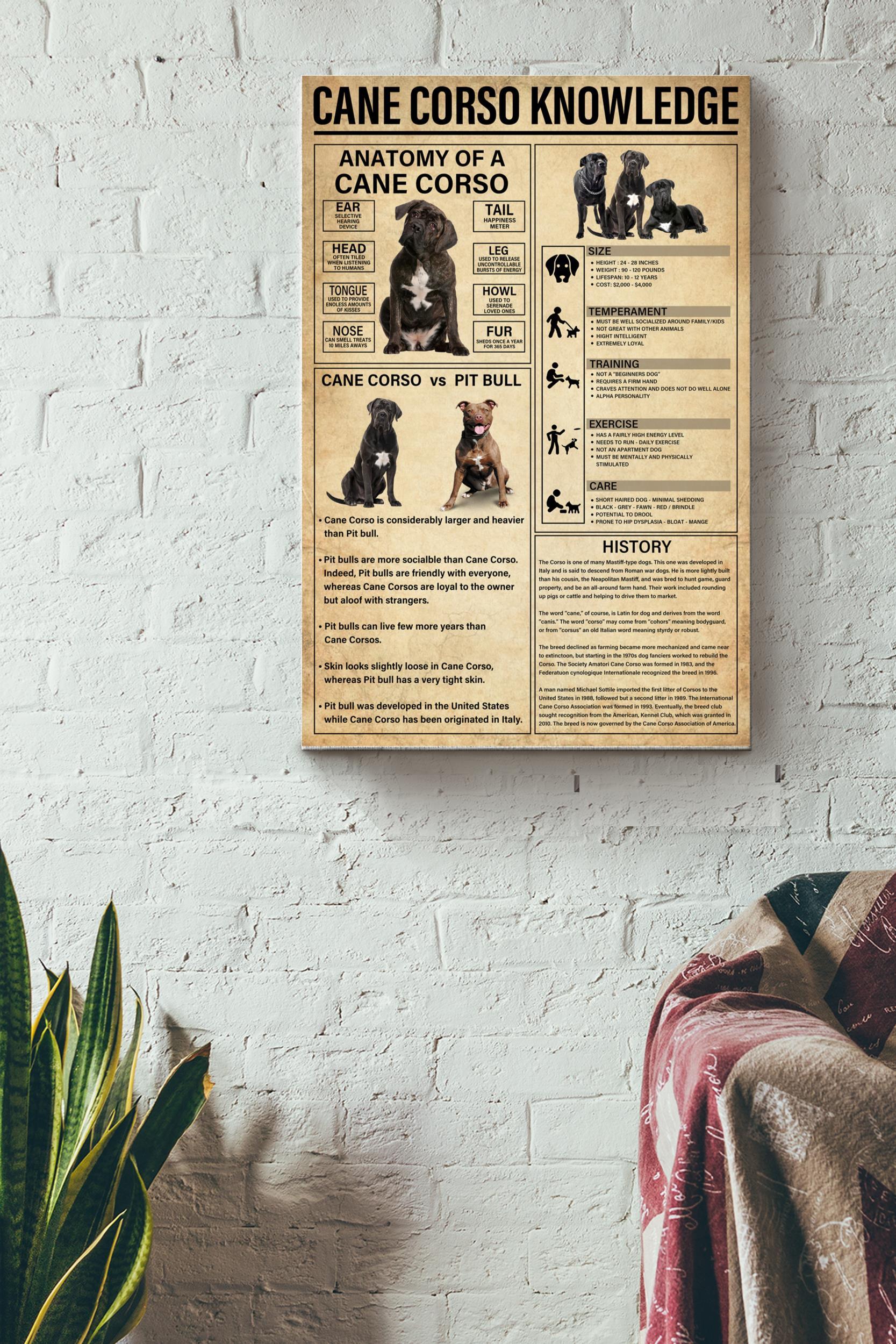 Cane Corso Knowledge Basic Information Poster – Animal Knowledge Wall Art – Gift For Dog Lover Dog Owner Biologist Wrapped Canvas