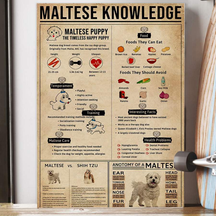 Maltese Knowledge Dogs  Custom Design Gift For Maltese Lovers Poster