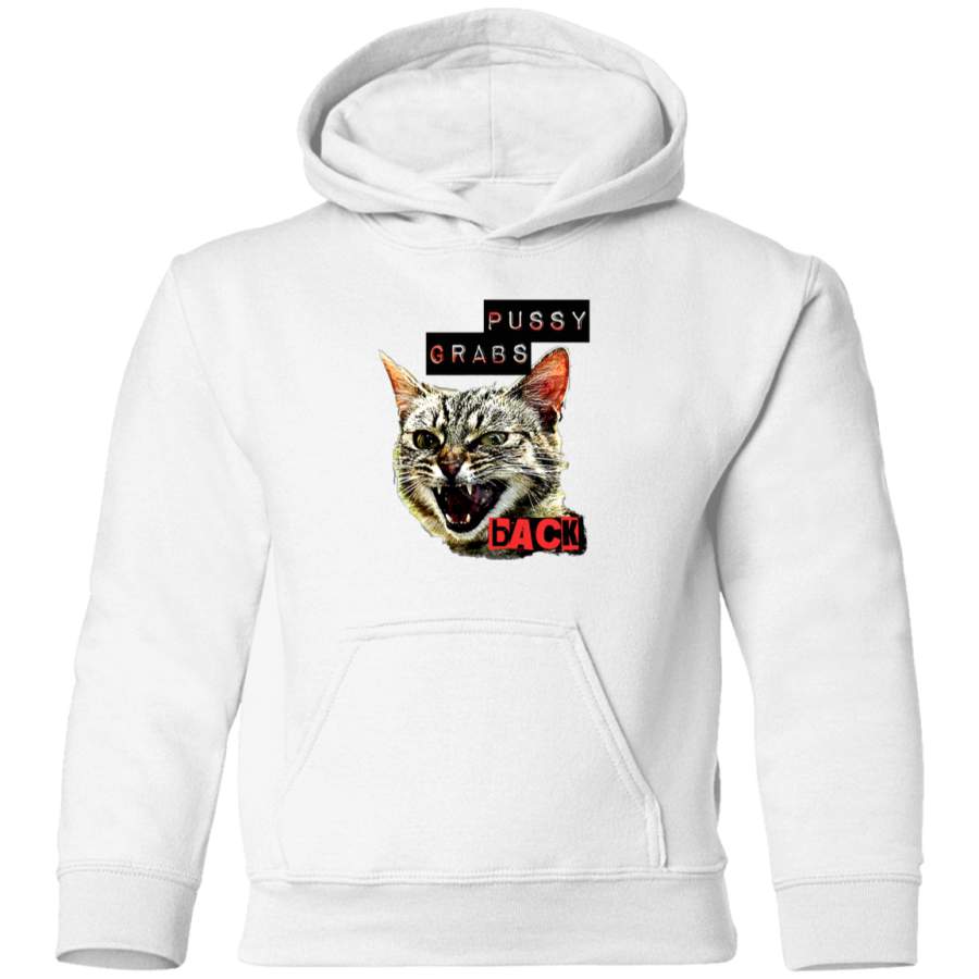 AGR Pussy Grabs Back Toddler Pullover Hoodie