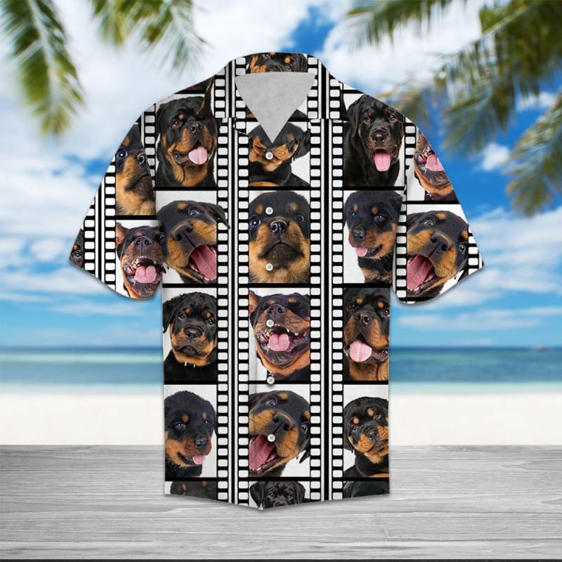 Rottweiler Film Pattern Hawaii Shirt Ha41369