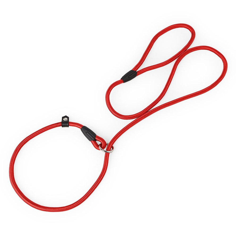 Nylon Dog Leash Pet Puppy Slip Lead Rope Dog Slip Leash Chain Collar Adjustable No-Pull Dog Training Leash for Small Dogs Yorkie alx