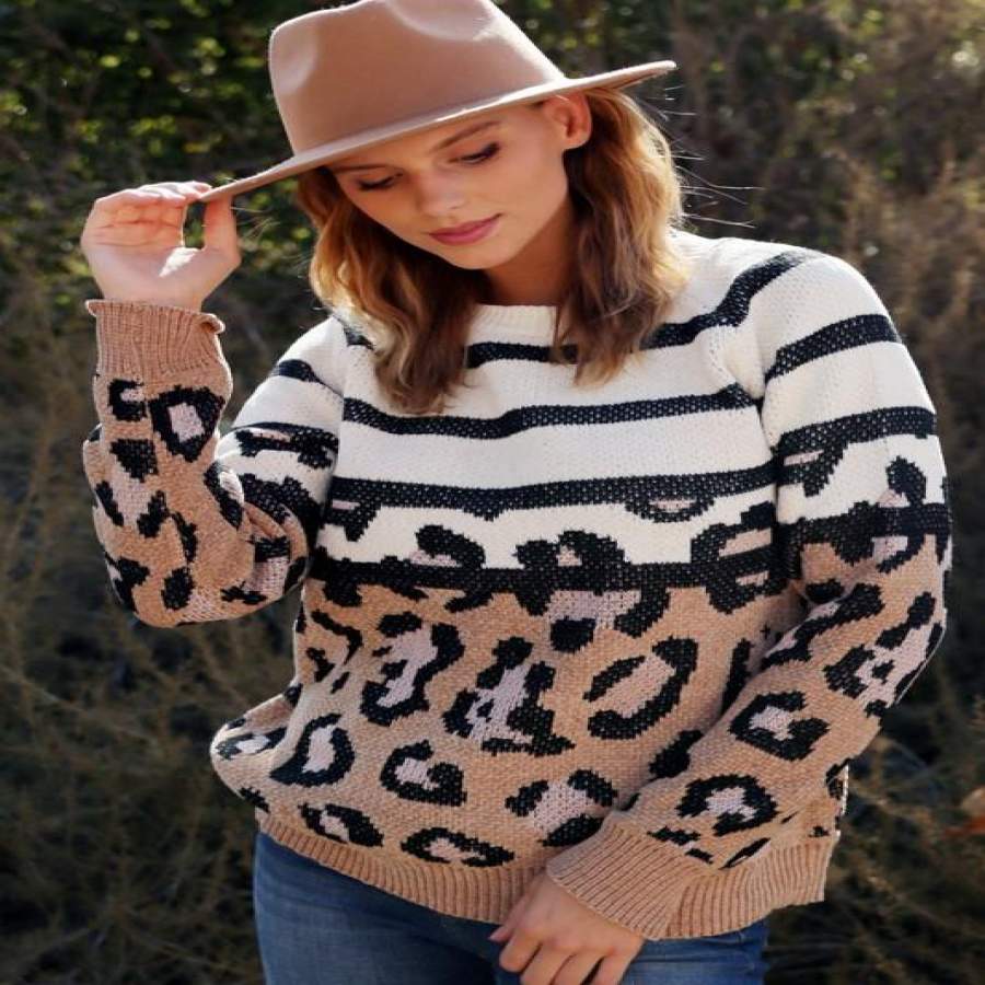 Striped + Leopard Pullover Sweater