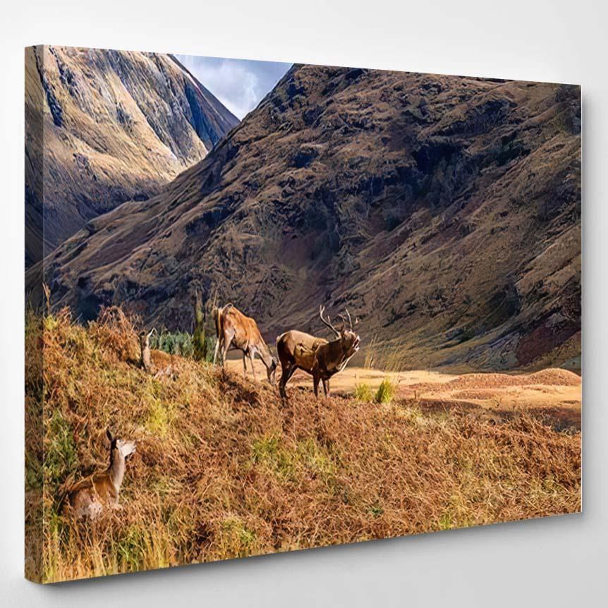 Stag Glen Etive Ballachulish Dramatic Highlands 1 – Deer Animals Canvas Print