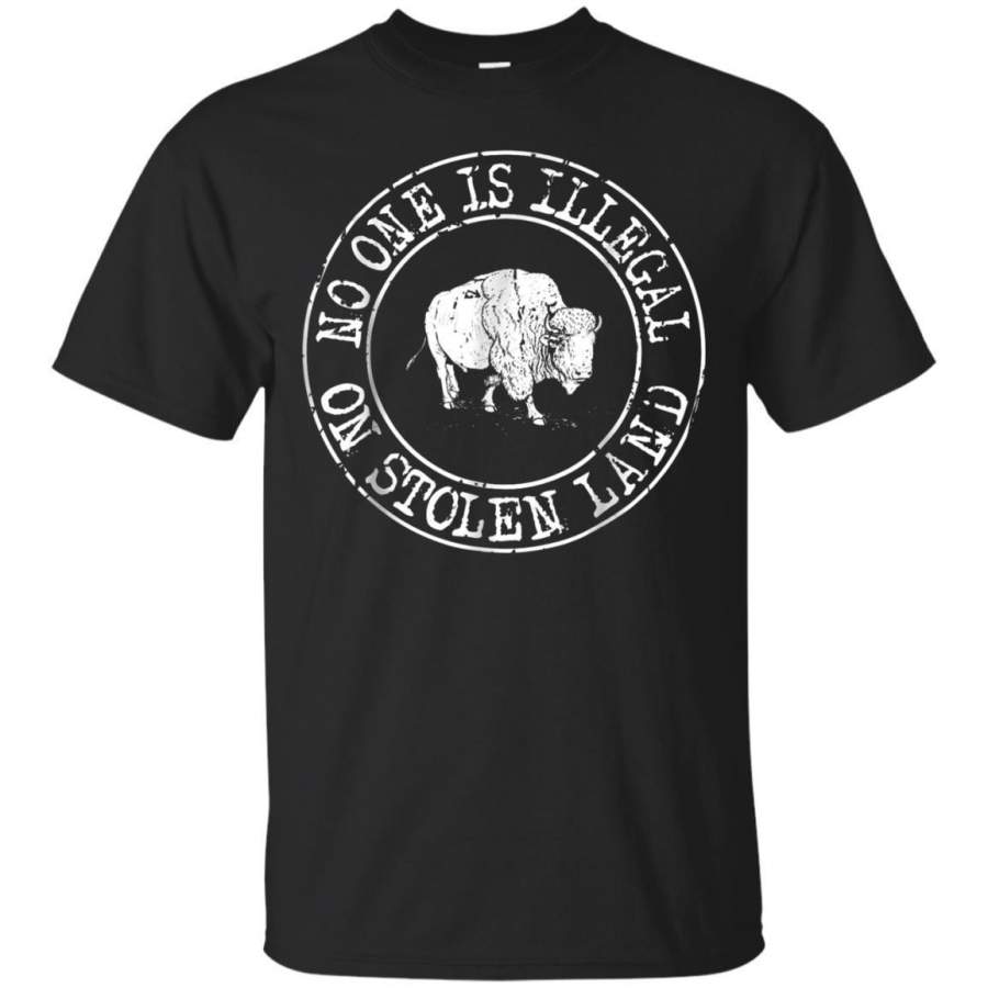 AGR No One Is Illegal On Stolen Land  4th Of July Bison T Shirt Jaq T-shirt